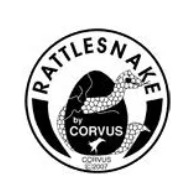 4 verschillende kwasten Eduplay