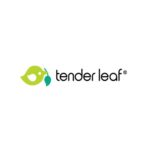 Tenderleaf Huisdierenset Stal Met 2 Pony's Tender Leaf Toys