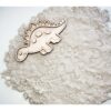 Leuk met letters Vultray dinosaurus