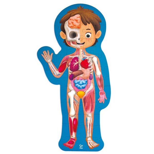 lichaam puzzel 1 Hape Human body puzzle - puzzel menselijk lichaam