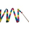 BS Toys Danslint – Regenboog Ritmieklint voor Kinderen