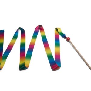 BS Toys Danslint – Regenboog Ritmieklint voor Kinderen