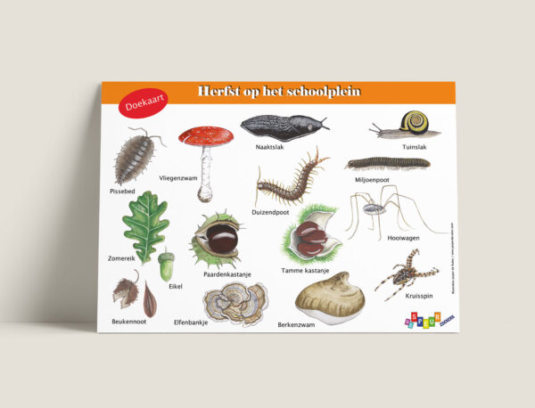 Doekaart Herfstophetschoolplein Tringa Paintings Doekaart Herfst op het schoolplein