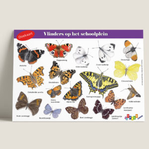 Tringa Paintings Doekaart Vlinders op het schoolplein