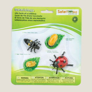 Safari LTD Levenscyclus van een lieveheersbeestje