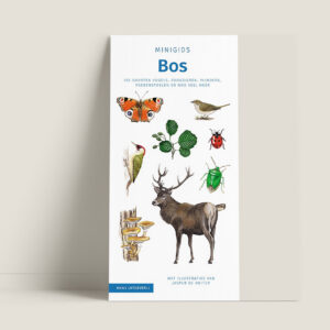Tringa Paintings Minigids Bos