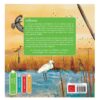 Willewete Vogels - Sanne Ramakers en Merel Vink - Clavis