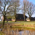 boerderij (1) Boer Boris een paard voor sinterklaas
