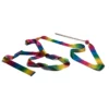 BS Toys Danslint – Regenboog Ritmieklint voor Kinderen
