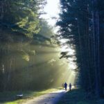 in het bos (1) De Boswachter Liesbet Slegers