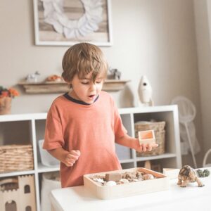 4 verschillende kwasten Eduplay