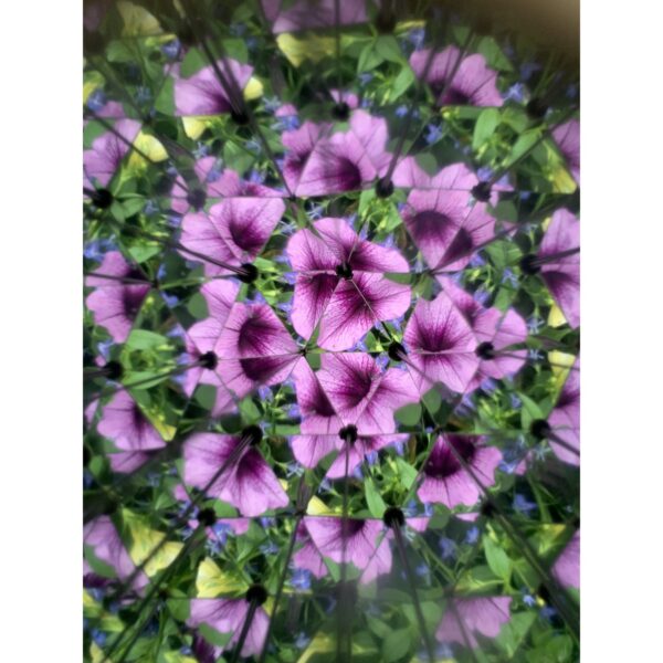kaleidoscope3 Huckleberry Kaleidoscoop – Ontdek de magie van de natuur