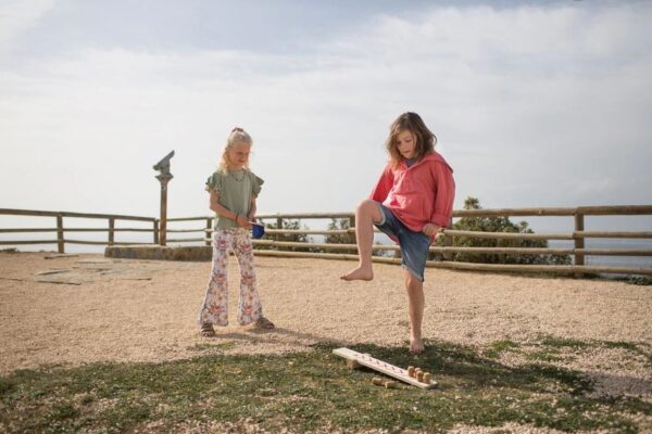 Lanceer de Ninja's -11 BS Toys Lanceer de Ninja’s – Houten Actiespel 4+ voor binnen en buiten