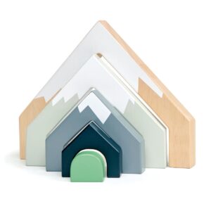 Tender Leaf Toys bergpas set