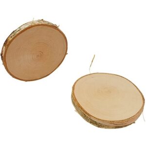 Boomschors schijf berkenhout rond;