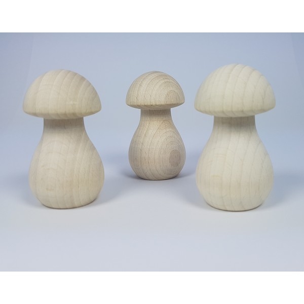 paddenstoel-hout---smal-68-x-35-mm---nog-3x--_13315_0 Paddenstoel hout - 67 x 35 mm - beukenhout gebleekt