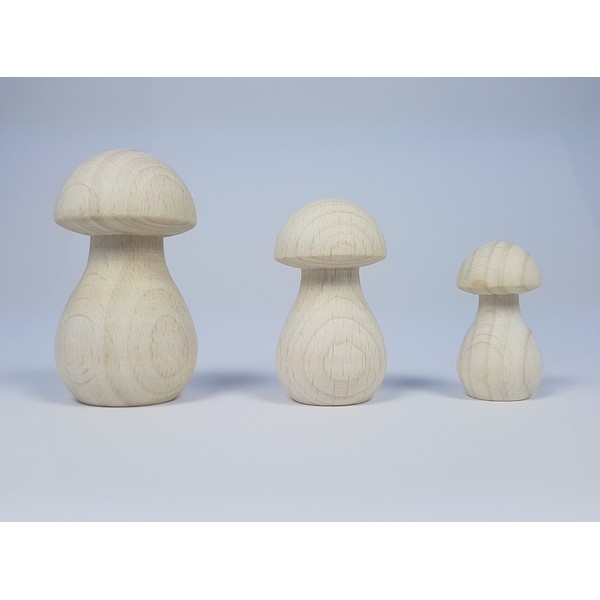 paddenstoel-hout---smal-68-x-35-mm---nog-3x--_13315_2 Paddenstoel hout - 67 x 35 mm - beukenhout gebleekt