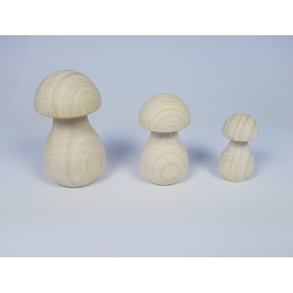 paddenstoel-hout---smal-68-x-35-mm---nog-3x--_13315_3 (1) Paddenstoel hout - 67 x 35 mm - beukenhout gebleekt