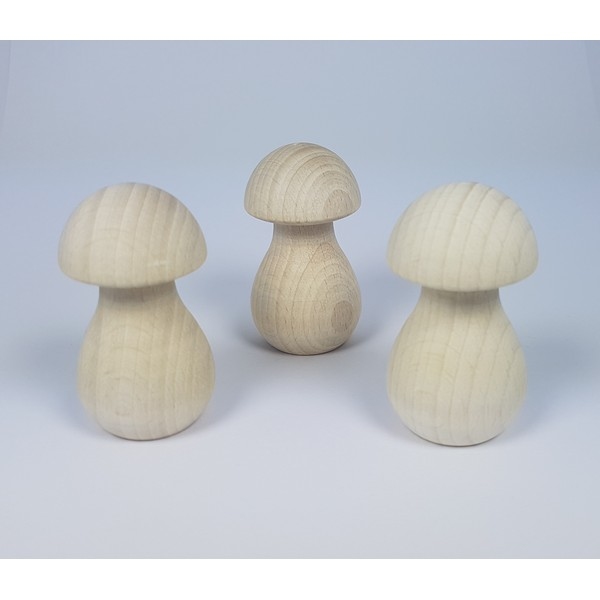 paddenstoel-hout---smal-68-x-35-mm---nog-3x--_13315_6 (1) Paddenstoel hout - 67 x 35 mm - beukenhout gebleekt