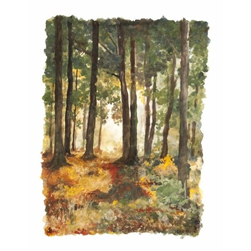 bos (1) Natural Earth Paint Children's Earth Paint Kit Experience
