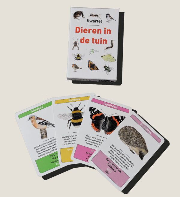 KwartetDierenindetuin-webshop-JDR-scaled Tringa Paintings Kwartet “Dieren in de tuin” - Jasper de Ruiter