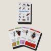 Tringa Paintings Kwartet “Insecten" - Jasper de Ruiter