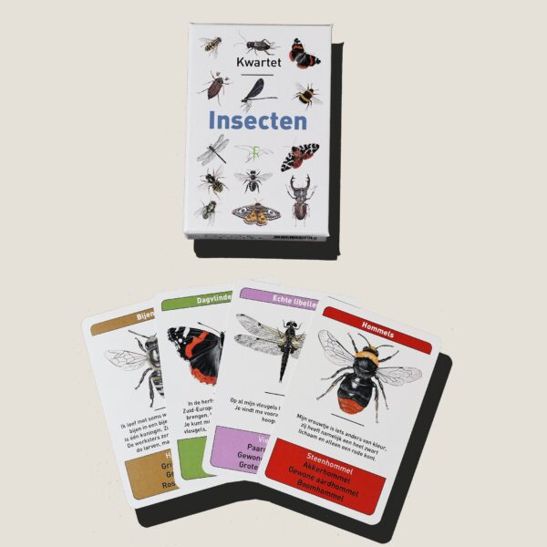 KwartetInsecten-webshop-JDR-1 Tringa Paintings Kwartet “Insecten" - Jasper de Ruiter