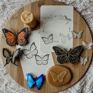 Wildebras Lifecycle Flashcards Vlinder – Educatief Montessori natuur speelgoed bij Het Speellab