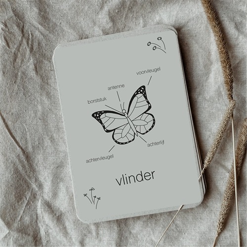 montessori-educatief-montessori-speelgoed-vlinder-flashcards-natuuronderwijs-het-speellab-2 (1) Wildebras Lifecycle Flashcards Vlinder – Educatief Montessori natuur speelgoed bij Het Speellab