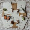montessori-educatief-montessori-speelgoed-vlinder-flashcards-natuuronderwijs-het-speellab-3 (1) Wildebras Lifecycle Flashcards Vlinder – Educatief Montessori natuur speelgoed bij Het Speellab
