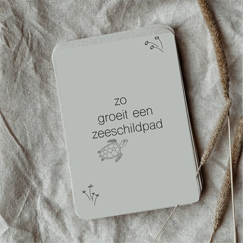 montessori-educatief-speelgoed-zeeschildpad-flashcards-natuuronderwijs-het-speellab-1 (1) Wildebras Lifecycle Flashcards Zeeschildpad – Educatief Montessori speelgoed bij Het Speellab