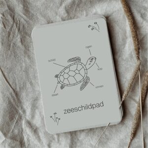 Wildebras Lifecycle Flashcards Zeeschildpad – Educatief Montessori speelgoed bij Het Speellab