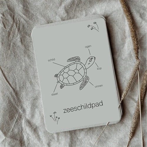 montessori-educatief-speelgoed-zeeschildpad-flashcards-natuuronderwijs-het-speellab (1) Wildebras Lifecycle Flashcards Zeeschildpad – Educatief Montessori speelgoed bij Het Speellab