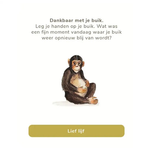 welterusten-slaap-lekker-slaapkaartjes-slaapritueel-briljant-uitgeverij-hetspeellab-4.jpg Welterusten, slaap lekker! – Slaapkaartjes van Uitgeverij Briljant slaapritueel en rustmomenten bij Het Speellab