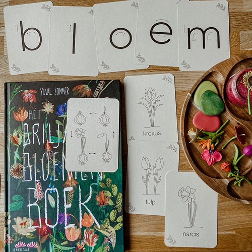 Lente flashcards Montessori speelgoed – educatieve kaarten voor de seizoenstafel van Wildebras