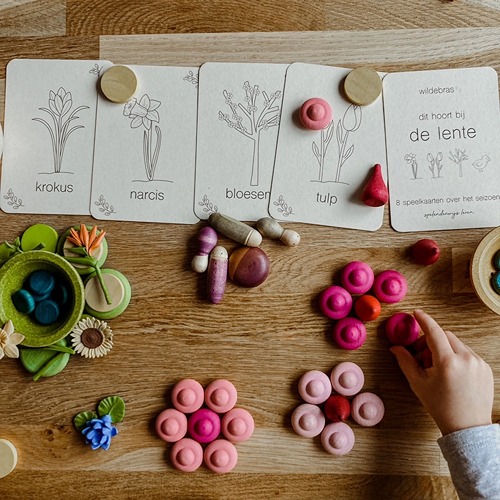Lente flashcards Montessori speelgoed – educatieve kaarten voor de seizoenstafel van Wildebras