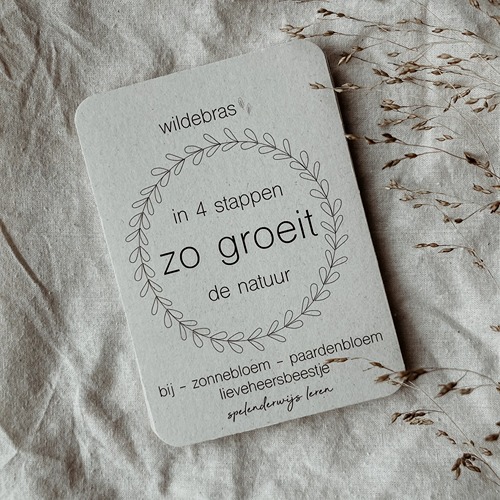 wildebras-lifecycle-flashcards-bij-lieveheersbeestje-bloemen-10 (1) Wildebras lifecycle flashcards bij lieveheersbeestje en bloemen – educatief Montessori materiaal voor natuuronderwijs