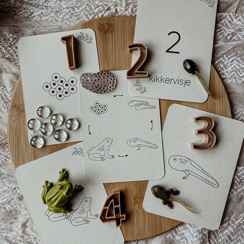 Wildebras lifecycle flashcards kikker – educatief Montessori speelgoed over de levenscyclus van de kikker