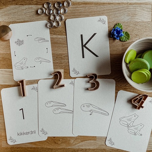 Wildebras lifecycle flashcards kikker – educatief Montessori speelgoed over de levenscyclus van de kikker