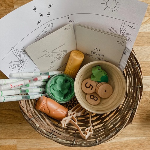 Wildebras lifecycle flashcards kikker – educatief Montessori speelgoed over de levenscyclus van de kikker