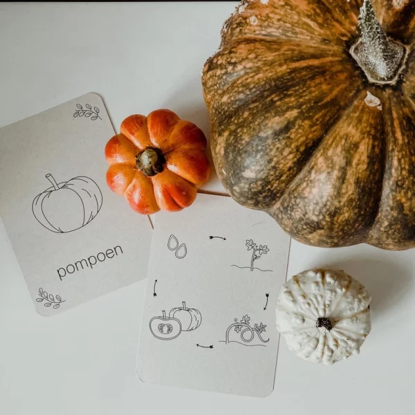 wildebras-lifecycle-flashcards-montessori-natuuronderweijd-herfst-het-speellab-1 Wildebras lifecycle flashcards pompoen kastanje eikel paddenstoel – educatief Montessori speelgoed bij Het Speellab