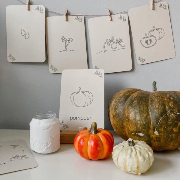 wildebras-lifecycle-flashcards-montessori-natuuronderweijd-herfst-het-speellab Wildebras lifecycle flashcards pompoen kastanje eikel paddenstoel – educatief Montessori speelgoed bij Het Speellab