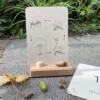 wildebras-lifecycle-flashcards-montessori-natuuronderweijd-herfst-het-speellab-9 Wildebras lifecycle flashcards pompoen kastanje eikel paddenstoel – educatief Montessori speelgoed bij Het Speellab