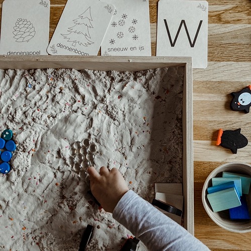 winter flashkaarten Montessori natuur en educatief speelgoed van Wildebras – Het Speellab