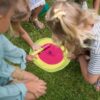 BS Toys Ren & Match buitenspel voor jonge kinderen