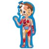 Het Speellab Hape Human Body Puzzle educatieve lichaamspuzzel voor kinderen