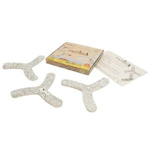 TicToys MyFibo boemerang voor binnen bij Het Speellab