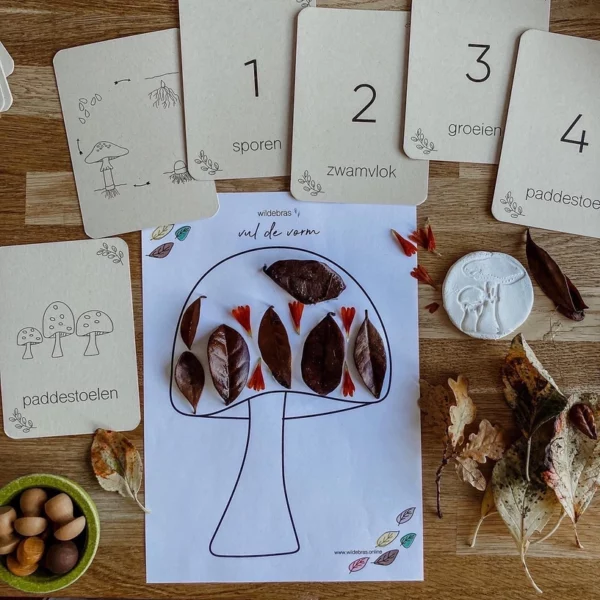 montessori-speelgoed-natuur-lifecycle-kaarten-kinderen Met open einde natuur materialen herfstboom bij de flascards herfst van Wildebras