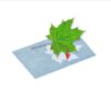 Blauwdruk papier in van PhänoMINT voor creatieve kinderactiviteiten en zonlicht experimenten
