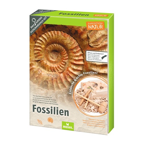 Expeditie Natuur fossielen uithakset voor kinderen
